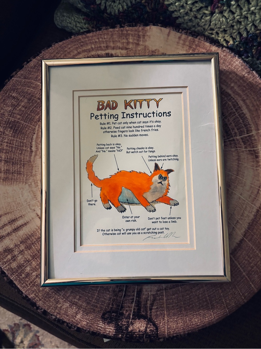 Framed “Bad Kitty - Petting Instructions” Art Print by Frank Coble